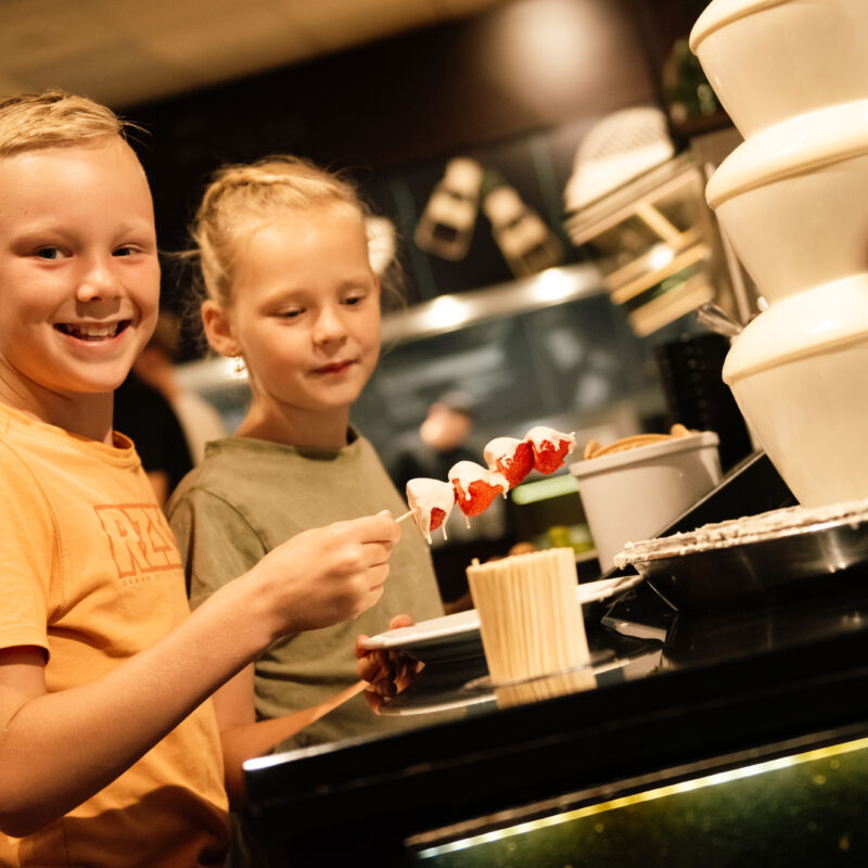 Chocoladefontein grand plaza eibergen